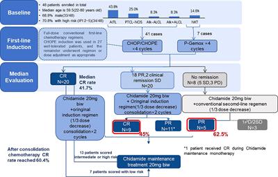 Chidamide Maintenance Therapy Following Induction Therapy in Patients With Peripheral T-Cell Lymphoma Who Are Ineligible for Autologous Stem Cell Transplantation: Case Series From China